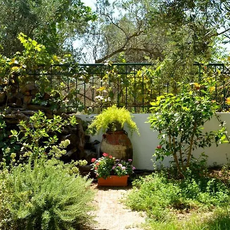Regina Casa de Férias *